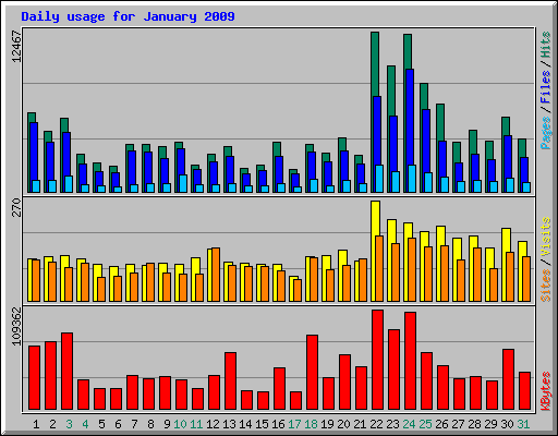 Daily usage for January 2009