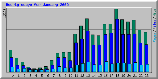 Hourly usage for January 2009