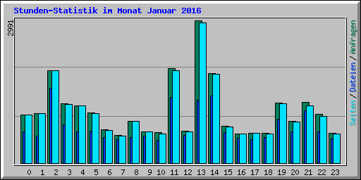 Stunden-Statistik im Monat Januar 2016