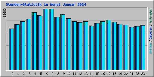 Stunden-Statistik im Monat Januar 2024