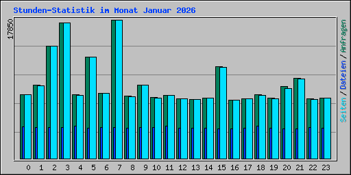 Stunden-Statistik im Monat Januar 2026