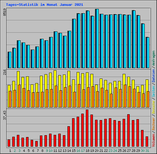 Tages-Statistik im Monat Januar 2021