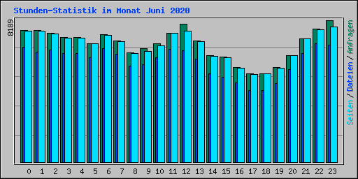 Stunden-Statistik im Monat Juni 2020