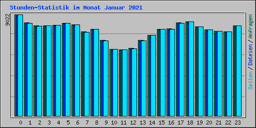 Stunden-Statistik im Monat Januar 2021