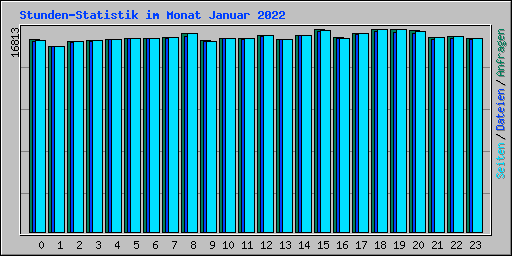 Stunden-Statistik im Monat Januar 2022