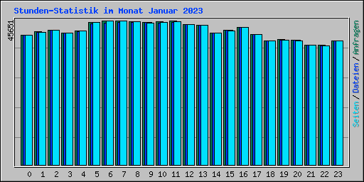 Stunden-Statistik im Monat Januar 2023