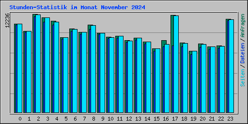 Stunden-Statistik im Monat November 2024