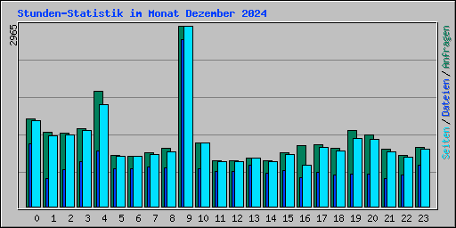 Stunden-Statistik im Monat Dezember 2024