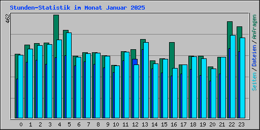 Stunden-Statistik im Monat Januar 2025